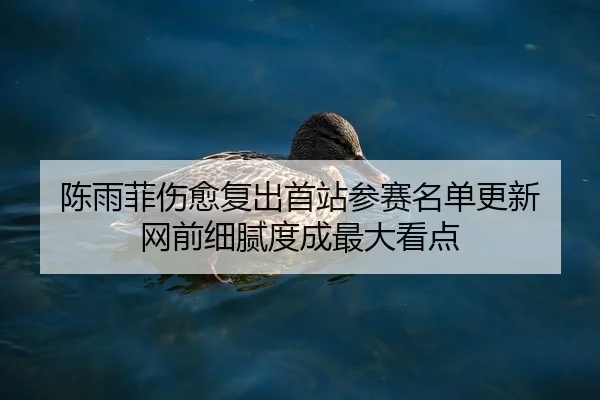 陈雨菲伤愈复出首站参赛名单更新 网前细腻度成最大看点